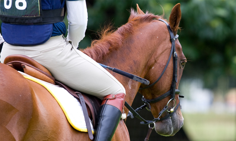 Planning Your Horse Trials Visit