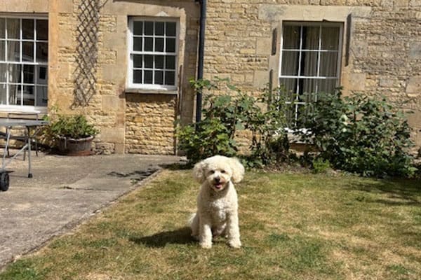 Dog Friendly Places to Stay